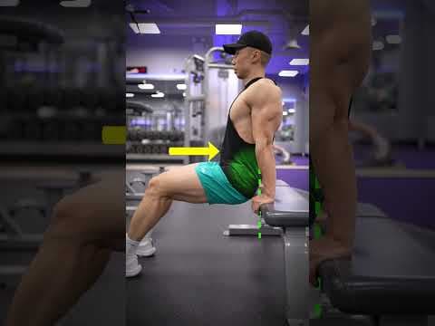 YouTube video demonstration: Triceps Bench Dips 3D Form & Technique Demonstration