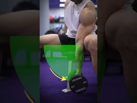 YouTube video demonstration: Seated Concentration Curl 3D Form & Technique Demonstration