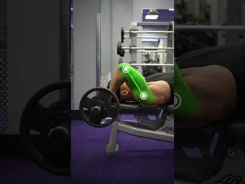YouTube video demonstration: EZ-Bar Skull Crushers (Lying Triceps Extension) 3D Form & Technique Demonstration