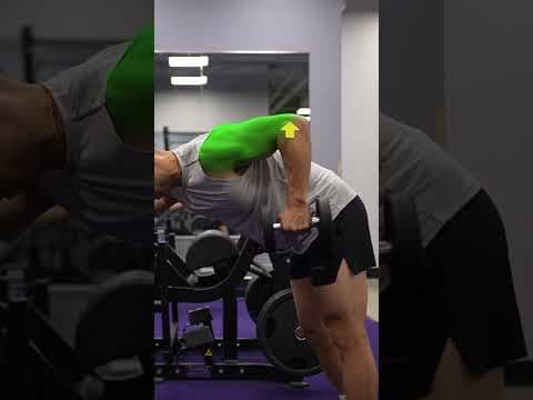 YouTube video demonstration: Dumbbell Triceps Kickback 3D Form & Technique Demonstration