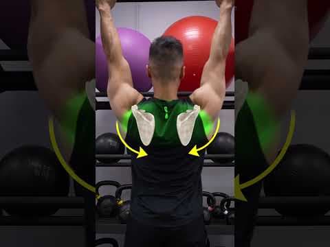 YouTube video demonstration: Bodyweight Pull-Up 3D Form & Technique Demonstration