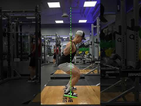 YouTube video demonstration: Barbell Back Squat 3D Form & Technique Demonstration