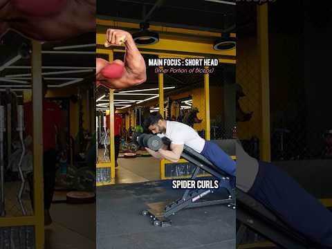 YouTube video demonstration: Incline Bench Spider Curl 3D Form & Technique Demonstration