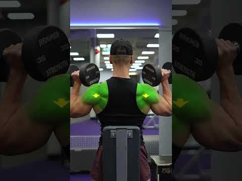 YouTube video demonstration: Seated Dumbbell Shoulder Press 3D Form & Technique Demonstration