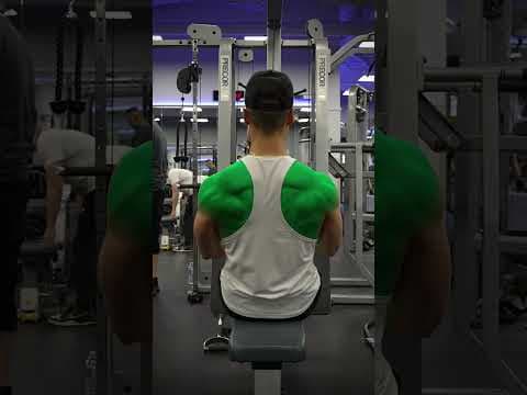 YouTube video demonstration: Seated Cable Row (Close-Grip V-Bar) 3D Form & Technique Demonstration